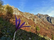 Ottobrata in Venturosa (1999 m) in compagnia- 29ott21